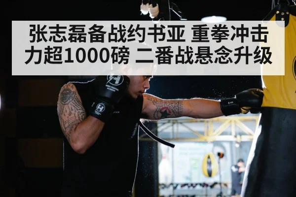 boxer heavy punch training